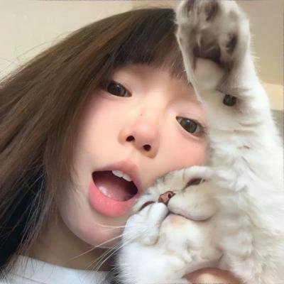 尝试第四季
