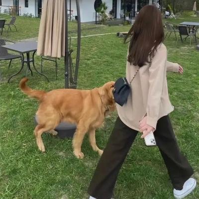 私枭湾风云